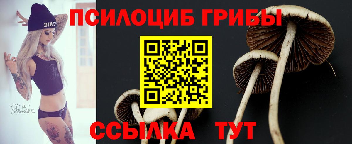 купить наркоту  Галлюциногенные грибы мицелий  Вход с VPN  Россошь 